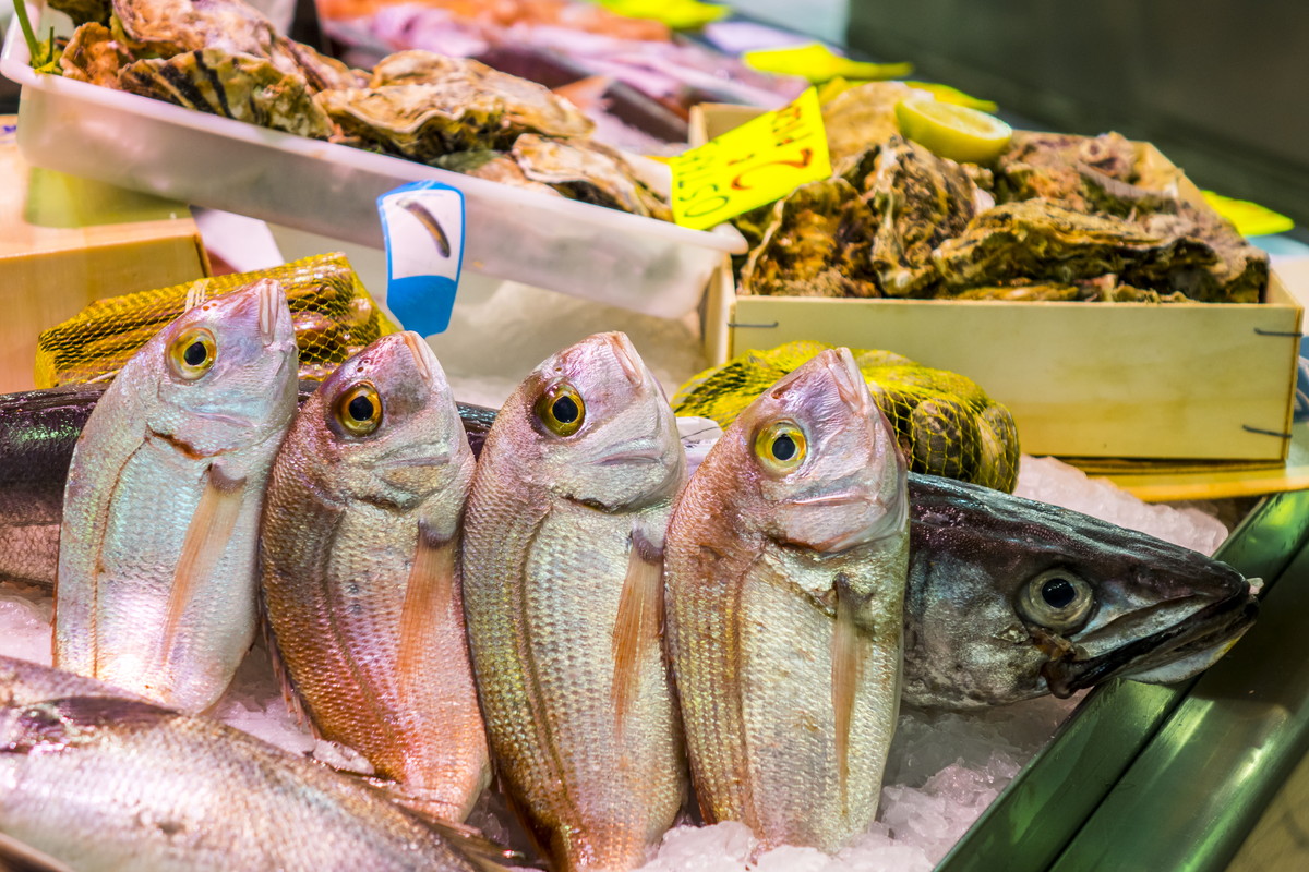 中国語 魚の名前 大特集 これであなたも中国の魚通 発音付