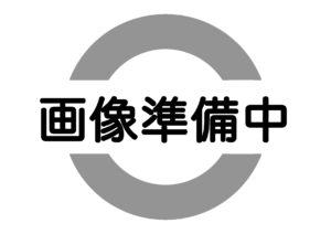 1元